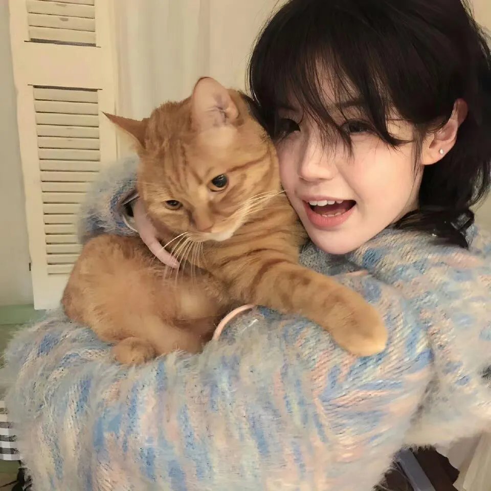 在猿乐町见面吧