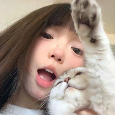 杜鹃花飞