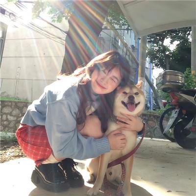 萌犬好声音4
